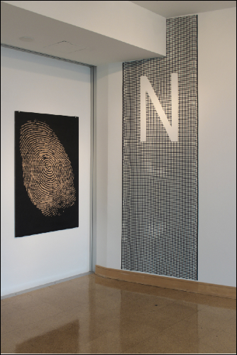 installation view